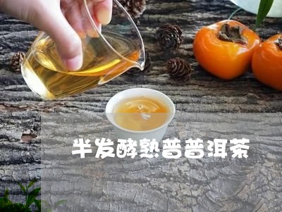 半发酵熟普普洱茶/2023110596216