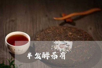 半发酵茶有/2023121958506