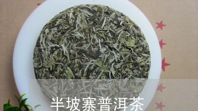 半坡寨普洱茶/2023042952534