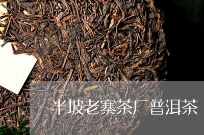 半坡老寨茶厂普洱茶/2023111037971