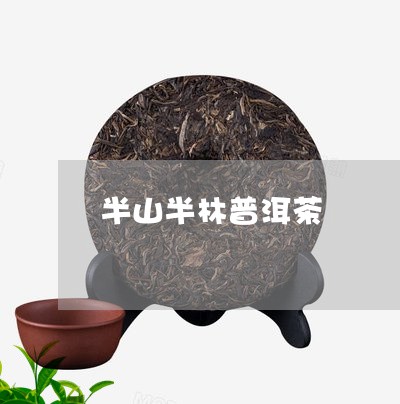 半山半林普洱茶/2023102682614