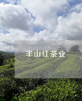 半山红茶业/2023121935026