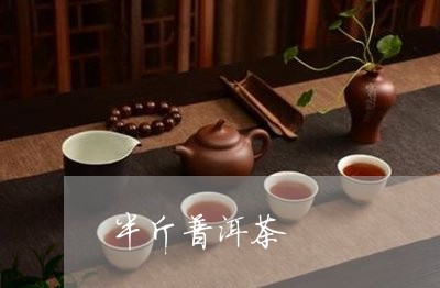 半斤普洱茶/2023090505960