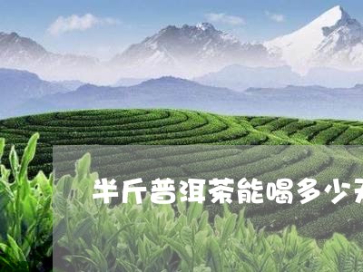 半斤普洱茶能喝多少天/2023062216947