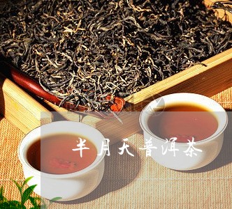 半月天普洱茶/2023042682339