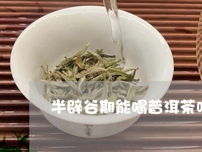 半辟谷期能喝普洱茶吗/2023072204016