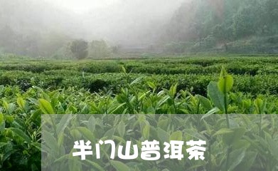 半门山普洱茶/2023042945093