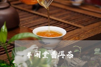 半闲堂普洱茶/2023042597836