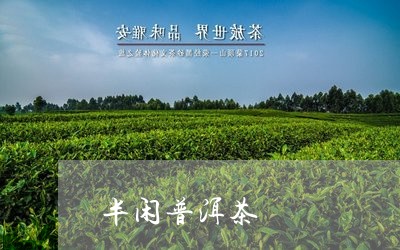 半闲普洱茶/2023090615059