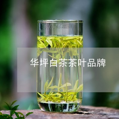 华坪白茶茶叶品牌/2023061527392