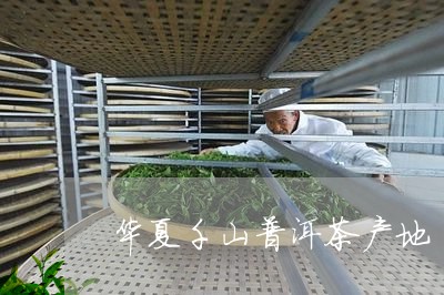 华夏千山普洱茶产地/2023071195026