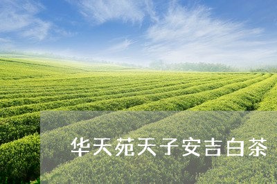 华天苑天子安吉白茶/2023121745158