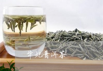 华妃普洱茶/2023102517160