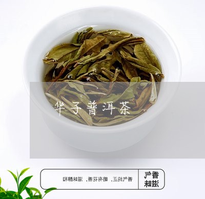 华子普洱茶/2023102535070