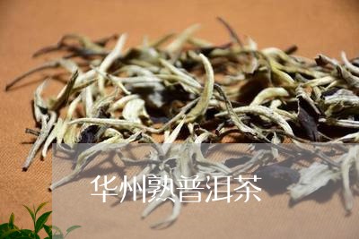 华州熟普洱茶/2023042874564