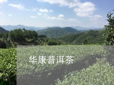 华康普洱茶/2023081808705