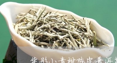 华彤小青柑陈皮普洱茶/2023092998260