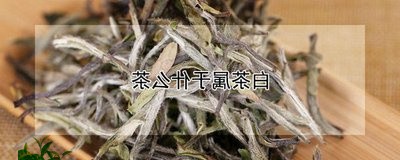 华志号珍稀白茶价格/2023121725248