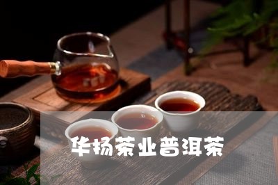 华扬茶业普洱茶/2023112638361