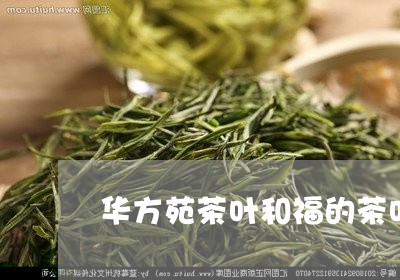 华方苑茶叶和福的茶叶/2023061095936