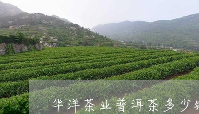 华洋茶业普洱茶多少钱/2023092897148