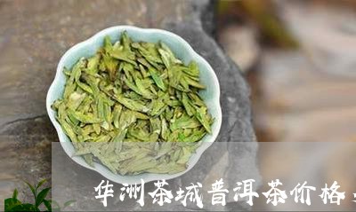 华洲茶城普洱茶价格多少一斤/2023082690605