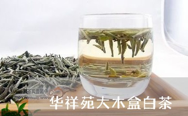 华祥苑大木盒白茶/2023061594058