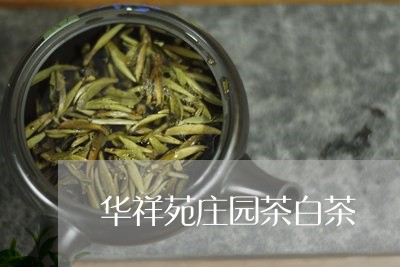 华祥苑庄园茶白茶/2023061506278