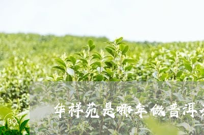 华祥苑是哪年做普洱茶/2023072201706