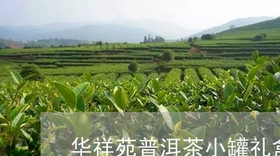 华祥苑普洱茶小罐礼盒/2023092915038