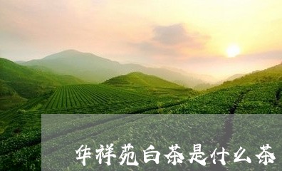 华祥苑白茶是什么茶/2023121713825