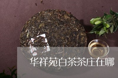 华祥苑白茶茶庄在哪/2023121752723