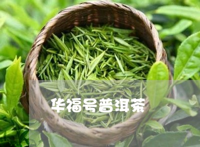 华福号普洱茶/2023042651108