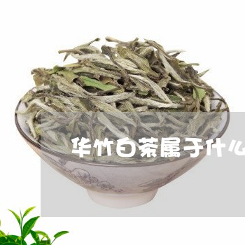 华竹白茶属于什么茶/2023121783829