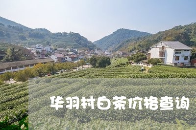 华羽村白茶价格查询/2023121722028