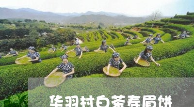 华羽村白茶寿眉饼/2023090880481