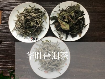 华胜普洱茶/2023090667150