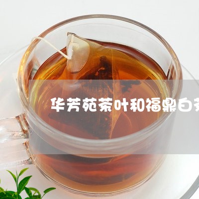 华芳苑茶叶和福鼎白茶/2023120795047