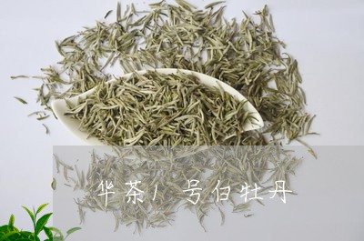 华茶1号白牡丹/2023112377681