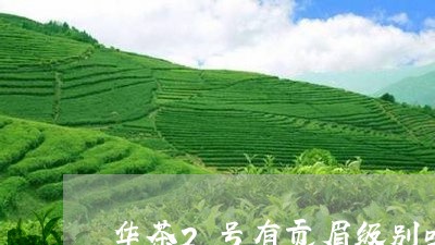 华茶2号有贡眉级别吗/2023120876160