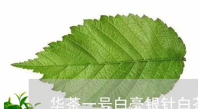 华茶一号白毫银针白茶/2023082603049