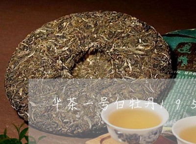 华茶一号白牡丹1958/2023092361693