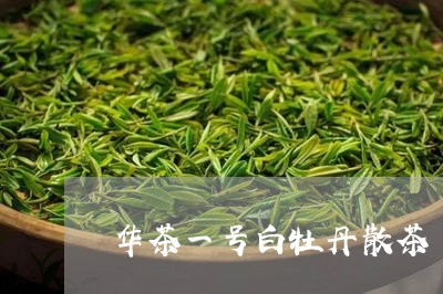 华茶一号白牡丹散茶/2023120542794