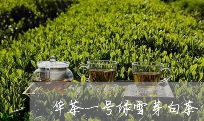 华茶一号绿雪芽白茶/2023071626278