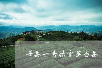 华茶一号绿雪芽白茶/2023081336169