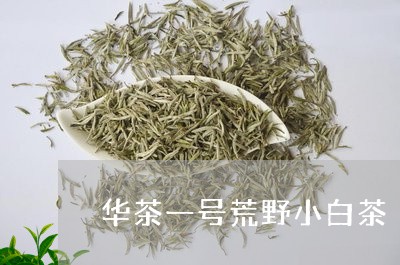 华茶一号荒野小白茶/2023121761092