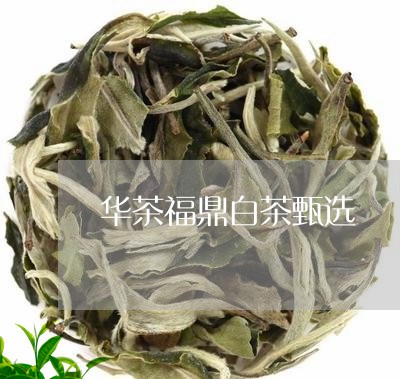 华茶福鼎白茶甄选/2023111578371