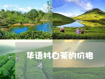 华语村白茶的价格/2023061592704