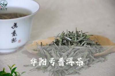 华阳号普洱茶/2023112680696