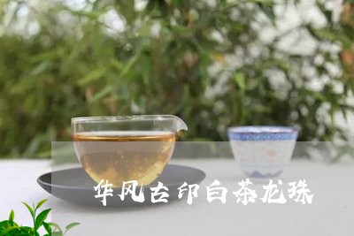 华风古印白茶龙珠/2023061598168